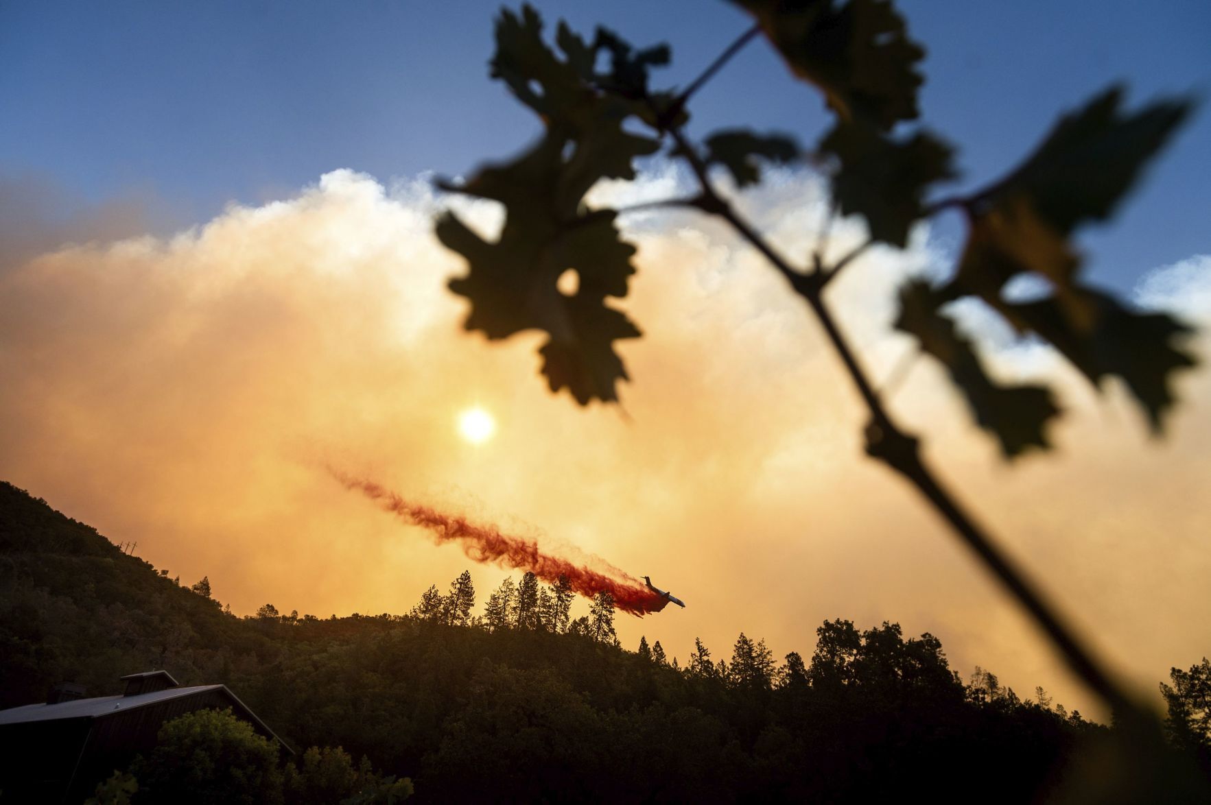 California Wildfires